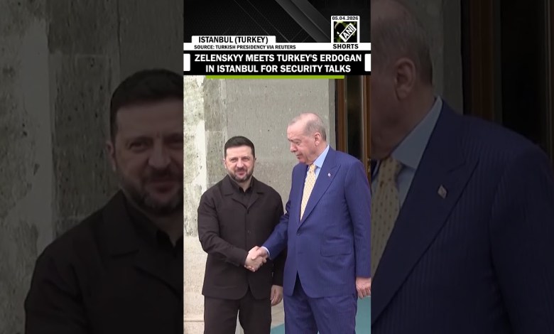 WATCH: Ukrainian President Zelenskyy meets Turkey’s Erdogan in Istanbul for security talks WATCH: Ukrainian President Zelenskyy meets Turkey’s Erdogan in Istanbul for security talks