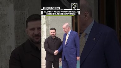 WATCH: Ukrainian President Zelenskyy meets Turkey’s Erdogan in Istanbul for security talks WATCH: Ukrainian President Zelenskyy meets Turkey’s Erdogan in Istanbul for security talks