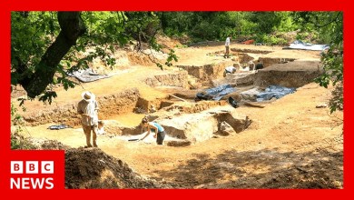 Humans made fire 350,000 years earlier than previously thought | BBC News Humans made fire 350,000 years earlier than previously thought | BBC News