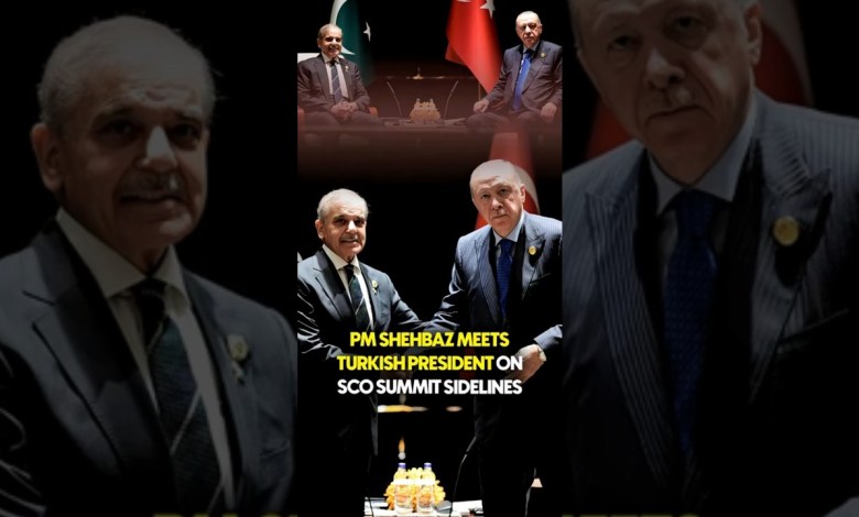 PM Shehbaz Meets Turkish President On Sco Summit Sidelines | Geo News English PM Shehbaz Meets Turkish President On Sco Summit Sidelines | Geo News English
