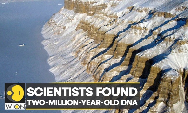 Scientists discover two million-year-old DNA in Greenland | World News | International News | WION Scientists discover two million-year-old DNA in Greenland | World News | International News | WION