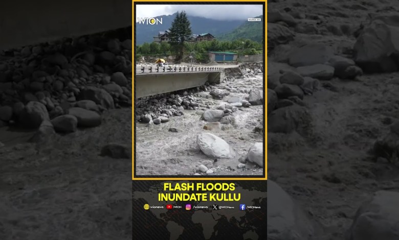 North India’s Kullu Reels Under Rains | World News | WION Shorts North India’s Kullu Reels Under Rains | World News | WION Shorts