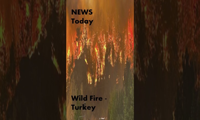 NEWS Today -Wild Fire – Turkey #news NEWS Today -Wild Fire – Turkey #news