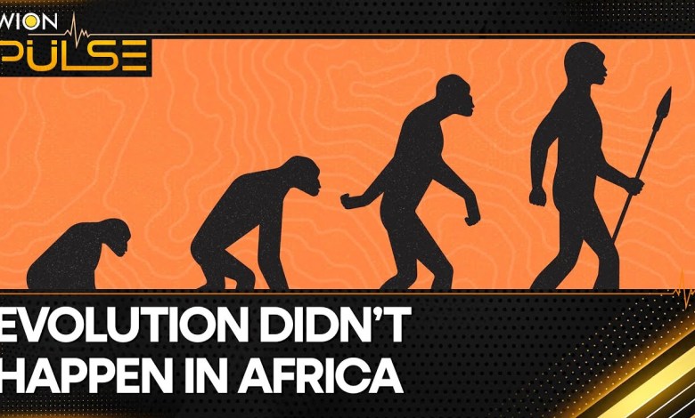 Did humans and apes come from Europe? | Latest World News | WION Pulse Did humans and apes come from Europe? | Latest World News | WION Pulse
