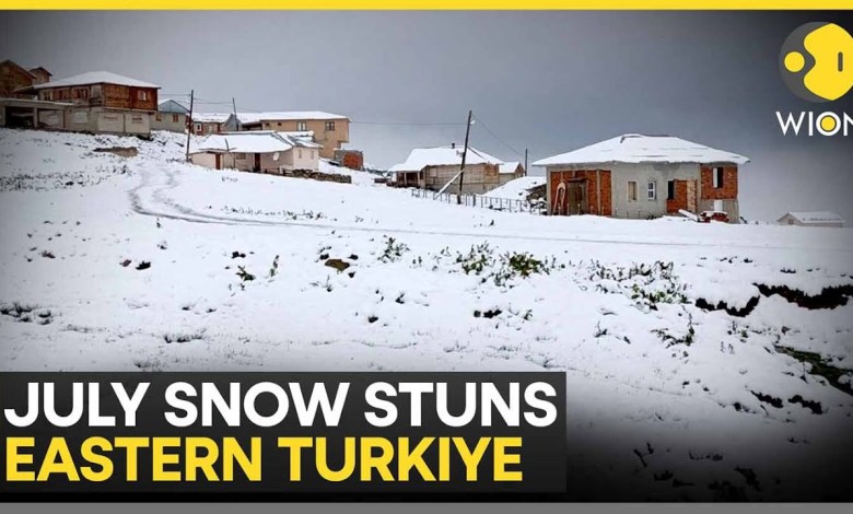 Snowfall In Eastern Turkiye Breaks Decades-Long Weather Patterns | WION Snowfall In Eastern Turkiye Breaks Decades-Long Weather Patterns | WION