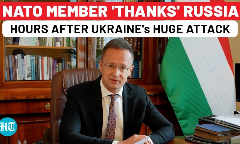 NATO Country Thanks Russia Hours After Ukraine’s Spiderweb Drone Attack: Watch Why| Istanbul| Lavrov NATO Country Thanks Russia Hours After Ukraine’s Spiderweb Drone Attack: Watch Why| Istanbul| Lavrov