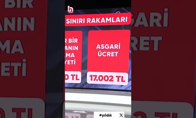 We live with the bare minimum! #shorts We live with the bare minimum! #shorts