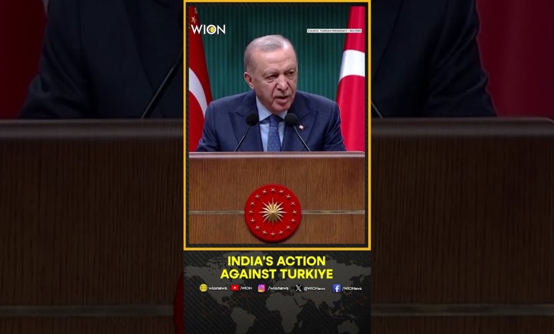 Security Clearance Cancelled for Turkish Firm Celebi at Indian Airports | WION Shorts Security Clearance Cancelled for Turkish Firm Celebi at Indian Airports | WION Shorts