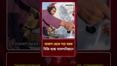 Snow falling from the sky is being sold in Afghanistan Afghanistan World News | Protidine Bangladesh Snow falling from the sky is being sold in Afghanistan Afghanistan World News | Protidine Bangladesh