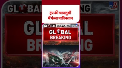 Breaking News: Pakistan trapped in Trump’s flattery. #trump #pakistan #shorts | #ytshorts Breaking News: Pakistan trapped in Trump’s flattery. #trump #pakistan #shorts | #ytshorts