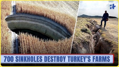 Nearly 700 Sinkholes Swallow Turkey’s Farmlands | What’s Causing the Ground to Collapse? Nearly 700 Sinkholes Swallow Turkey’s Farmlands | What’s Causing the Ground to Collapse?