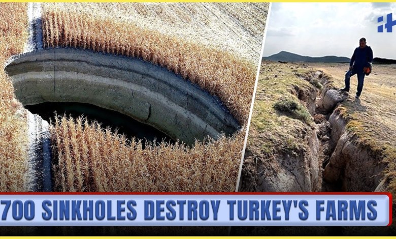 Nearly 700 Sinkholes Swallow Turkey’s Farmlands | What’s Causing the Ground to Collapse? Nearly 700 Sinkholes Swallow Turkey’s Farmlands | What’s Causing the Ground to Collapse?