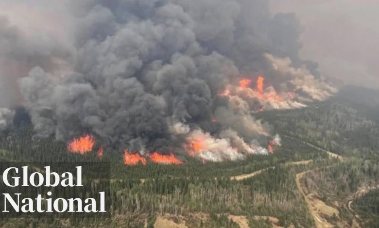 Global National: June 5, 2023 | Canada projected to have worst year of wildfire destruction Global National: June 5, 2023 | Canada projected to have worst year of wildfire destruction