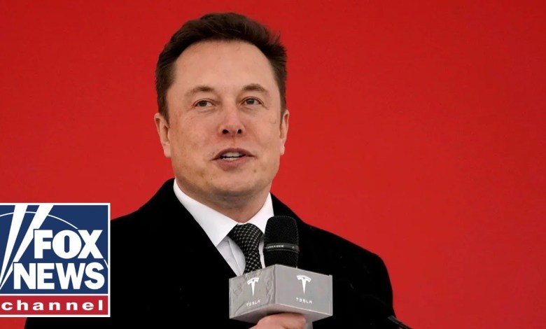 ‘DELETED’: Elon Musk ditches CrowdStrike amid global outage ‘DELETED’: Elon Musk ditches CrowdStrike amid global outage