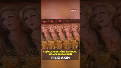 Filiz Akın, one of Yeşilçam’s 4-leaf rosebuds, is remembered with respect, love and longing on her death anniversary. Filiz Akın, one of Yeşilçam’s 4-leaf rosebuds, is remembered with respect, love and longing on her death anniversary.