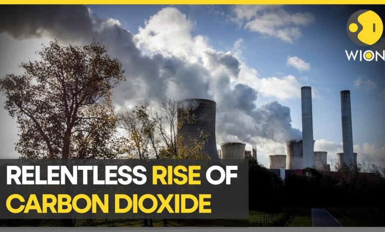 NASA video shows carbon emissions on earth | Latest World News NASA video shows carbon emissions on earth | Latest World News