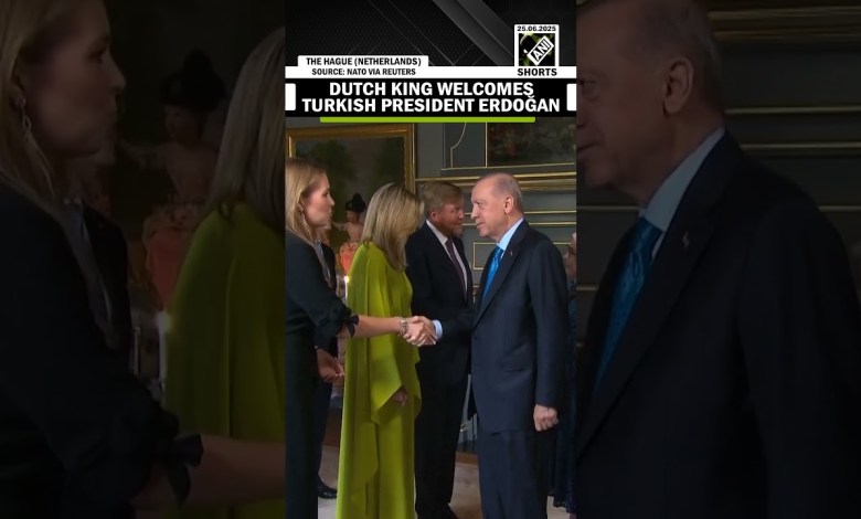 Dutch King Willem-Alexander welcomes Turkish President Recep Tayyip Erdoğan at NATO Dinner Dutch King Willem-Alexander welcomes Turkish President Recep Tayyip Erdoğan at NATO Dinner