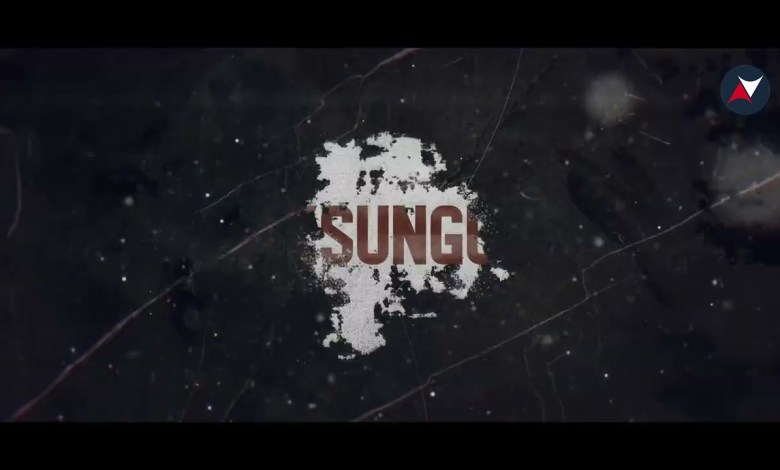 Turkish Defense Industry, Leader of the World UAV Market Turkish Defense Industry, Leader of the World UAV Market