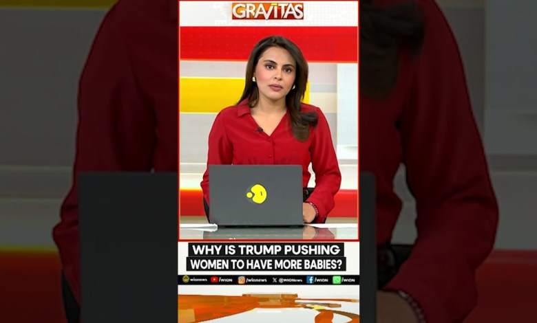 White House Effort to Increase Birth Rates | World News | GRAVITAS White House Effort to Increase Birth Rates | World News | GRAVITAS