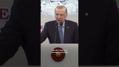 Erdogan stresses strong border security after intercepted Iranian missile Erdogan stresses strong border security after intercepted Iranian missile