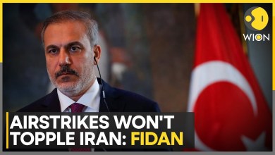 Turkey FM Warns Strikes May Radicalize Iran | WION Turkey FM Warns Strikes May Radicalize Iran | WION