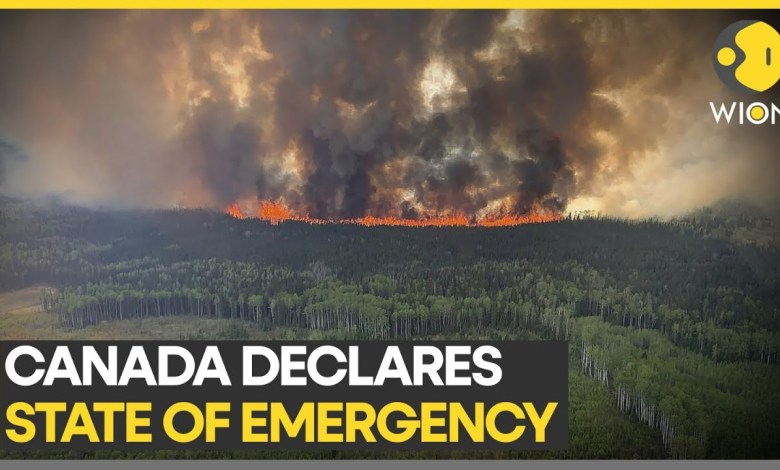 Wildfires force mass evacuation in Canada | Latest World News | WION Wildfires force mass evacuation in Canada | Latest World News | WION