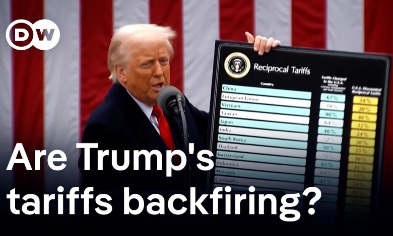 What the world got wrong about tariffs | DW Business What the world got wrong about tariffs | DW Business