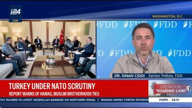 Sinan Ciddi on why Turkey is under NATO scrutiny – i24 News Sinan Ciddi on why Turkey is under NATO scrutiny – i24 News