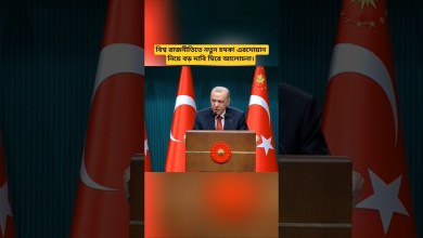 Erdogan Report Sparks Global Discussion | Latest Clarifications on Turkey Statement Erdogan Report Sparks Global Discussion | Latest Clarifications on Turkey Statement