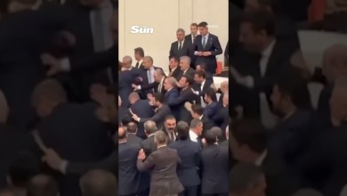Brawl breaks out in Turkish parliament over controversial appointment #fighting #politics #turkey Brawl breaks out in Turkish parliament over controversial appointment #fighting #politics #turkey