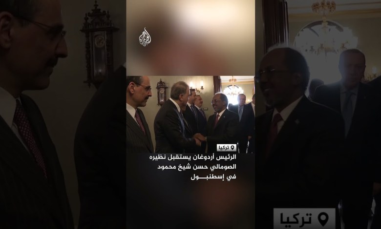President Erdogan receives his Somali counterpart, Hassan Sheikh Mohamud, in Istanbul President Erdogan receives his Somali counterpart, Hassan Sheikh Mohamud, in Istanbul