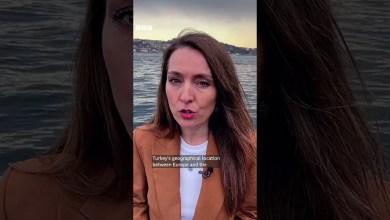 Is Turkey’s democracy at risk? – BBC World Service #shorts Is Turkey’s democracy at risk? – BBC World Service #shorts