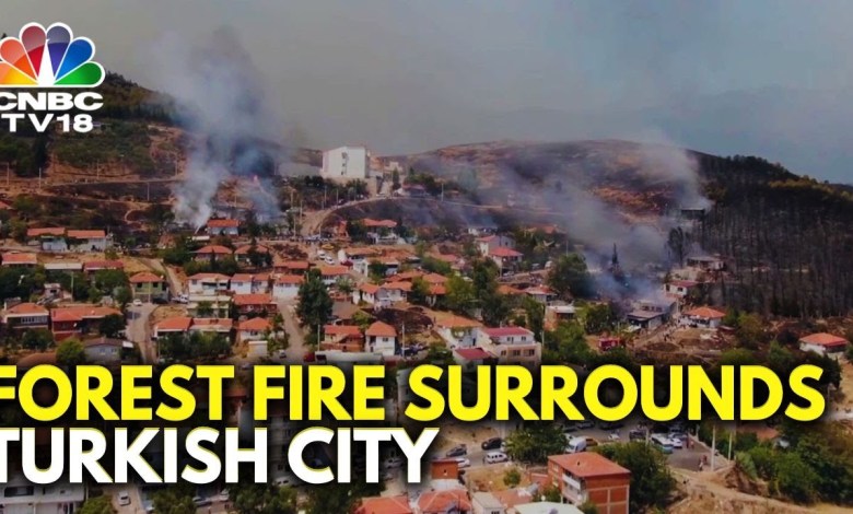 Growing Blaze In Turkey Leaves Houses Damaged | Turkey News | N18G Growing Blaze In Turkey Leaves Houses Damaged | Turkey News | N18G