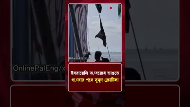 Sumud flotilla en route to Gaza to break Israeli blockade World News | Protidine Bangladesh Sumud flotilla en route to Gaza to break Israeli blockade World News | Protidine Bangladesh