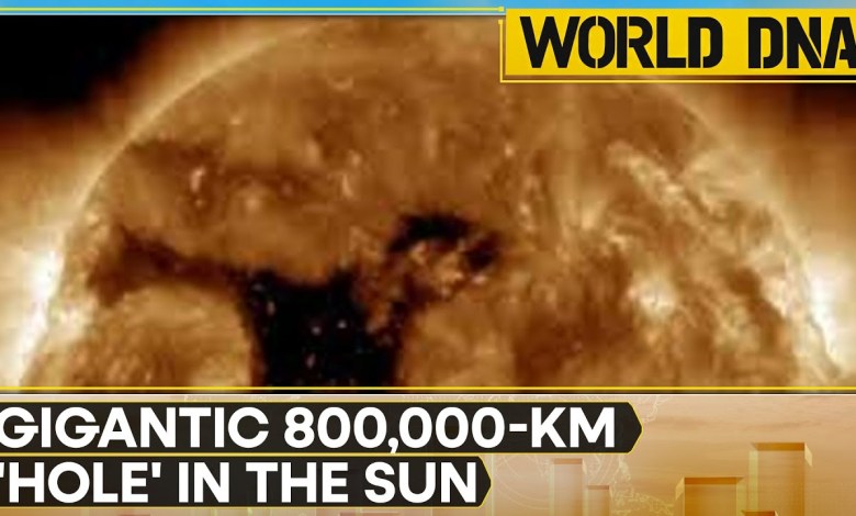 Sun’s Violent Behaviour Alarms Space Scientists | World DNA | WION Sun’s Violent Behaviour Alarms Space Scientists | World DNA | WION