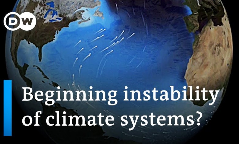 New climate data shows global temperatures continuing to rise sharply | DW News New climate data shows global temperatures continuing to rise sharply | DW News