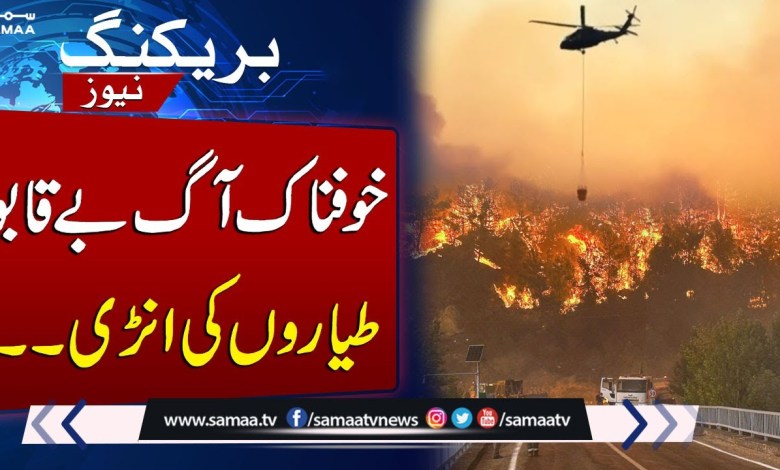 Fire Tornado Rips Through Turkish Forest | Breaking News | SAMAA TV Fire Tornado Rips Through Turkish Forest | Breaking News | SAMAA TV