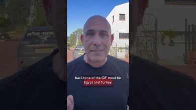 Ex-Israeli general warns of Turkey-Egypt military ties, calls it rising “radical Sunni axis” Ex-Israeli general warns of Turkey-Egypt military ties, calls it rising “radical Sunni axis”