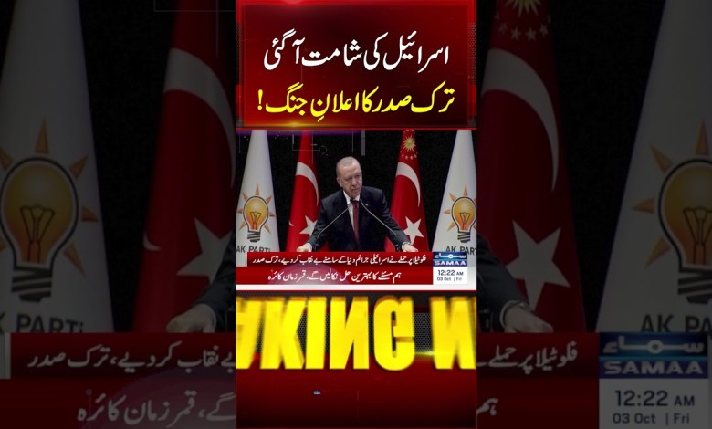 Turkey’s Erdogan Slams Israel for Gaza Flotilla Arrests as Country Opens Probe Turkey’s Erdogan Slams Israel for Gaza Flotilla Arrests as Country Opens Probe