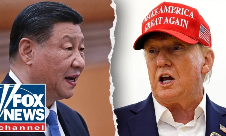 China’s ‘tremendous power’ in world trade revealed by expert China’s ‘tremendous power’ in world trade revealed by expert