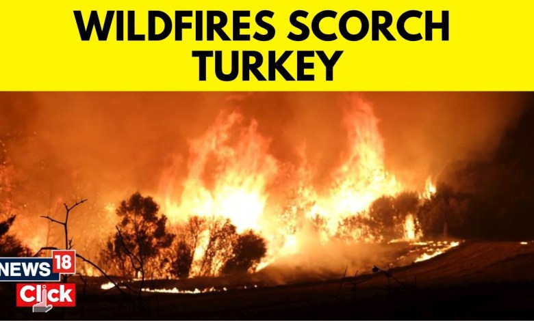 Turkey News | Türkey Continues Battling Raging Forest Fires In Çanakkale | English News | N18V Turkey News | Türkey Continues Battling Raging Forest Fires In Çanakkale | English News | N18V
