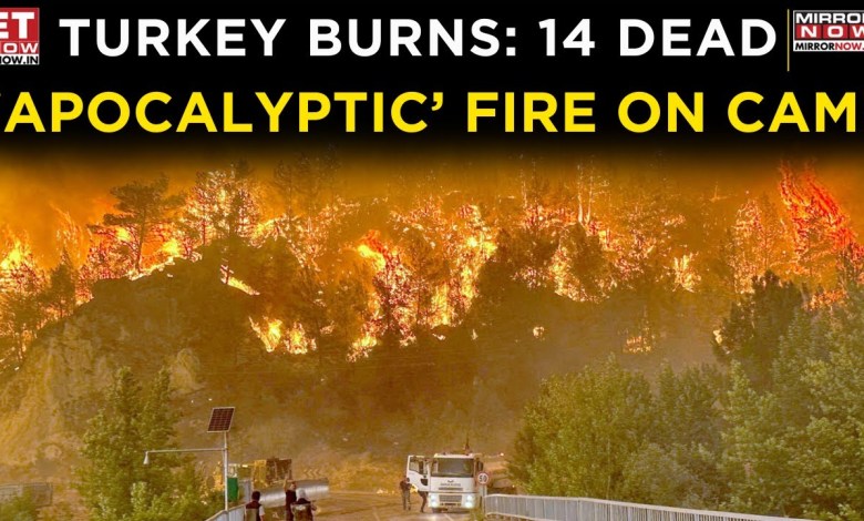Turkey Burning: 14 Dead, Cities Devastated, Shocking Wildfire Footage | Watch | World News | ET Now Turkey Burning: 14 Dead, Cities Devastated, Shocking Wildfire Footage | Watch | World News | ET Now