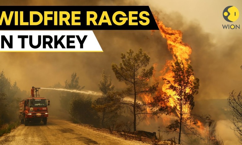 Turkish firefighters battle to contain wildfire in northwest | WION Originals Turkish firefighters battle to contain wildfire in northwest | WION Originals