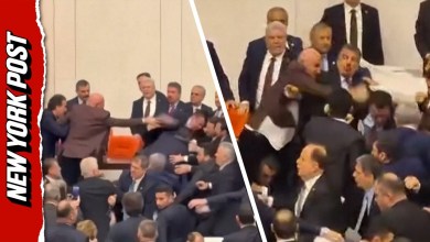 Brawl ERUPTS in Turkish Parliament Brawl ERUPTS in Turkish Parliament