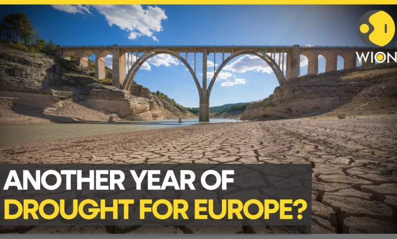 Experts: Water situation in Europe is ‘very precarious’ | Latest World News | WION Experts: Water situation in Europe is ‘very precarious’ | Latest World News | WION