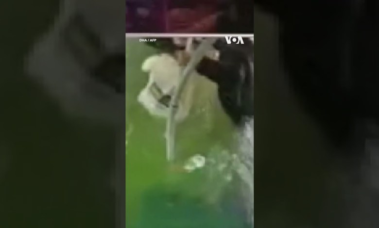 Bus Crashes into Lake in Turkey with Passengers Aboard #shorts | VOA News Bus Crashes into Lake in Turkey with Passengers Aboard #shorts | VOA News