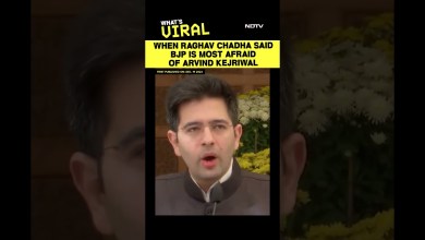 Raghav Chadha News | When Raghav Chadha Said BJP Is Most Afraid Of Arvind Kejriwal Raghav Chadha News | When Raghav Chadha Said BJP Is Most Afraid Of Arvind Kejriwal