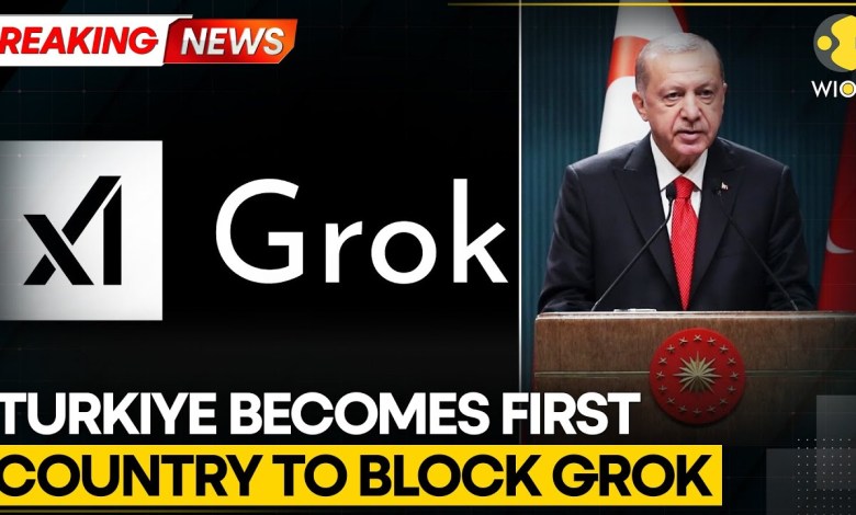 BREAKING: Turkiye Blocks Grok Over Insults To Erodgan | World News | WION BREAKING: Turkiye Blocks Grok Over Insults To Erodgan | World News | WION