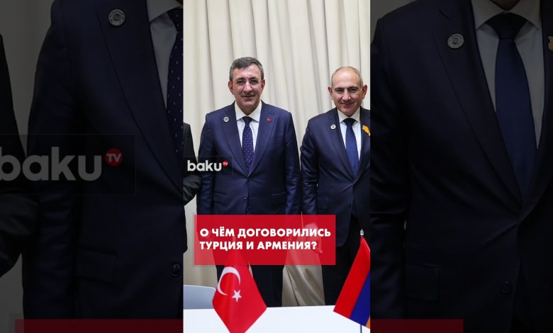 Vice President of Turkey and Prime Minister of Armenia held talks in Yerevan Vice President of Turkey and Prime Minister of Armenia held talks in Yerevan