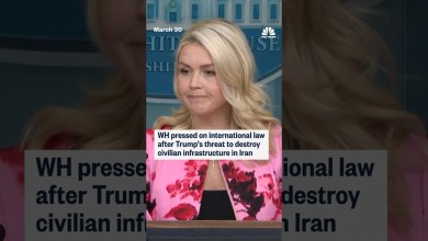 WH pressed on international law after Trump’s threat to destroy civilian infrastructure in Iran WH pressed on international law after Trump’s threat to destroy civilian infrastructure in Iran